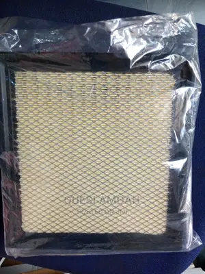 Ford Expedition Air Filter