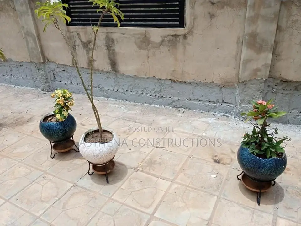 Waterproofing, Wall Dampness, Roof Leakage Repairs Services