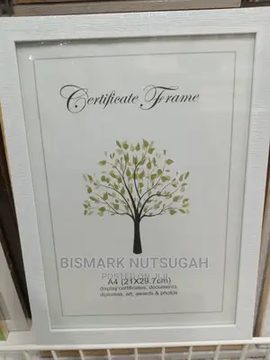 Picture Frame for Sale
