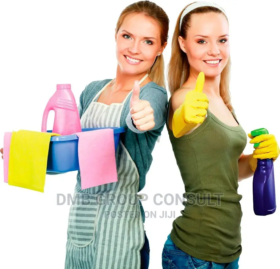 Professional Cleaners