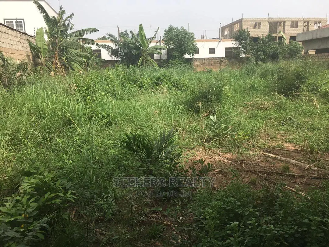 1 Plot of Land at Pantang Village