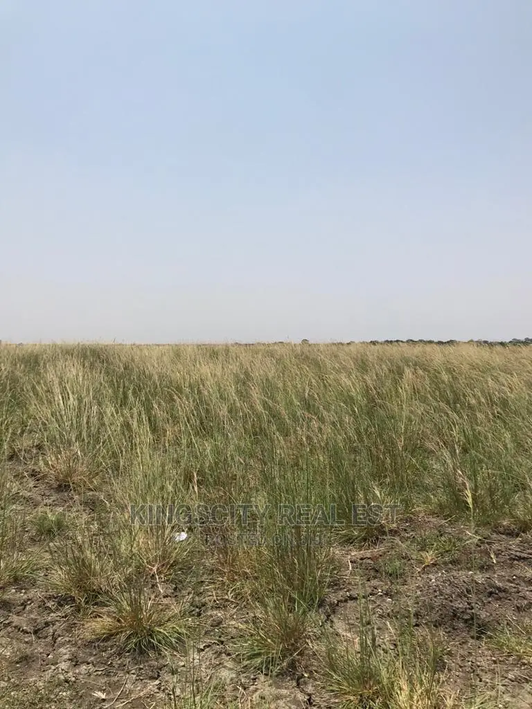 Semi Serviced and Registered Land for Sale at Tsopoli