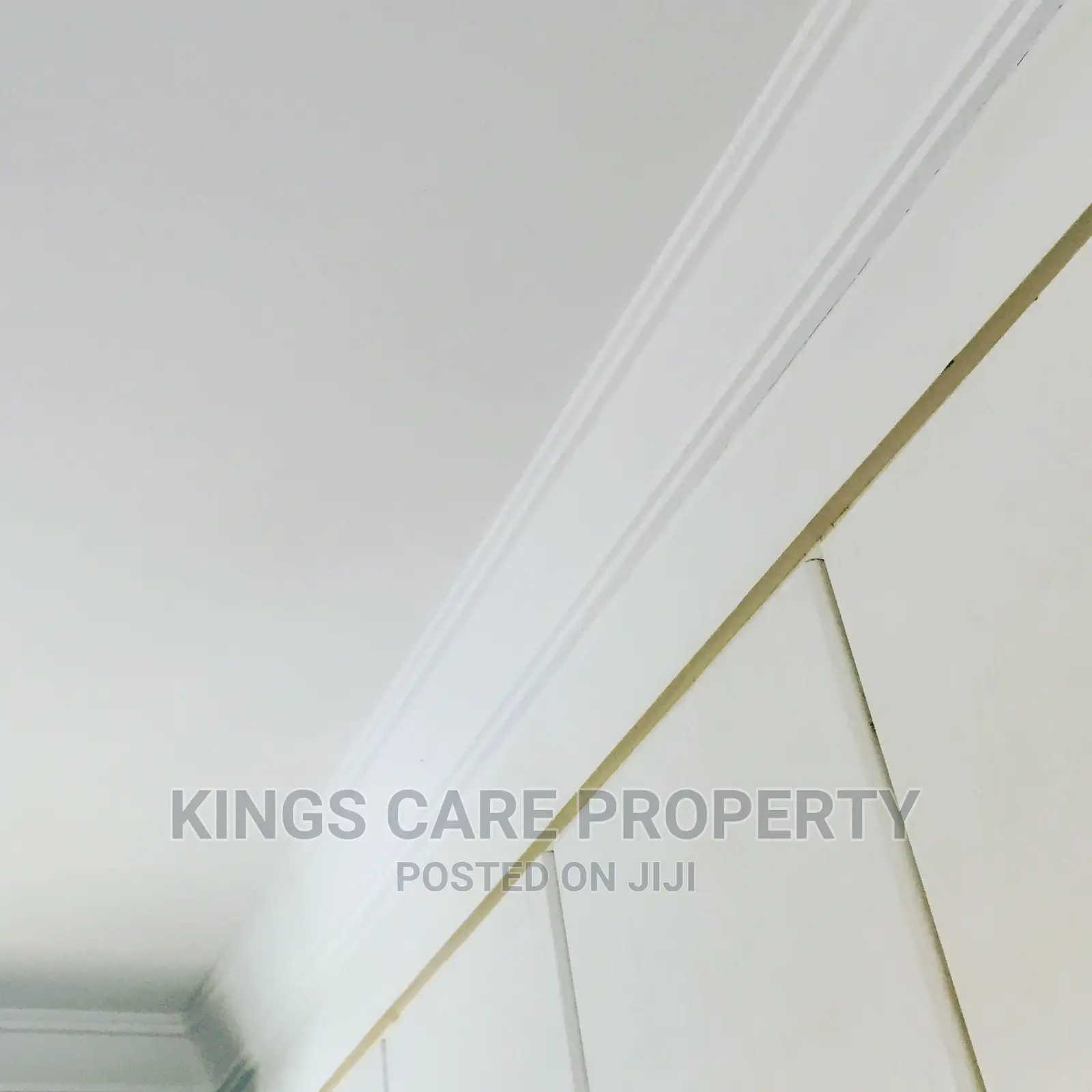 Acoustic Ceiling and Plaster Board