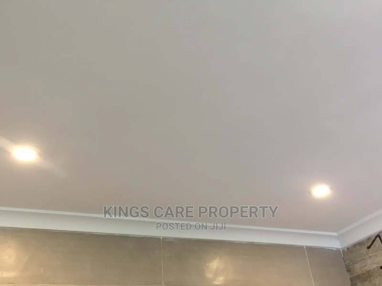 Acoustic Ceiling and Plaster Board