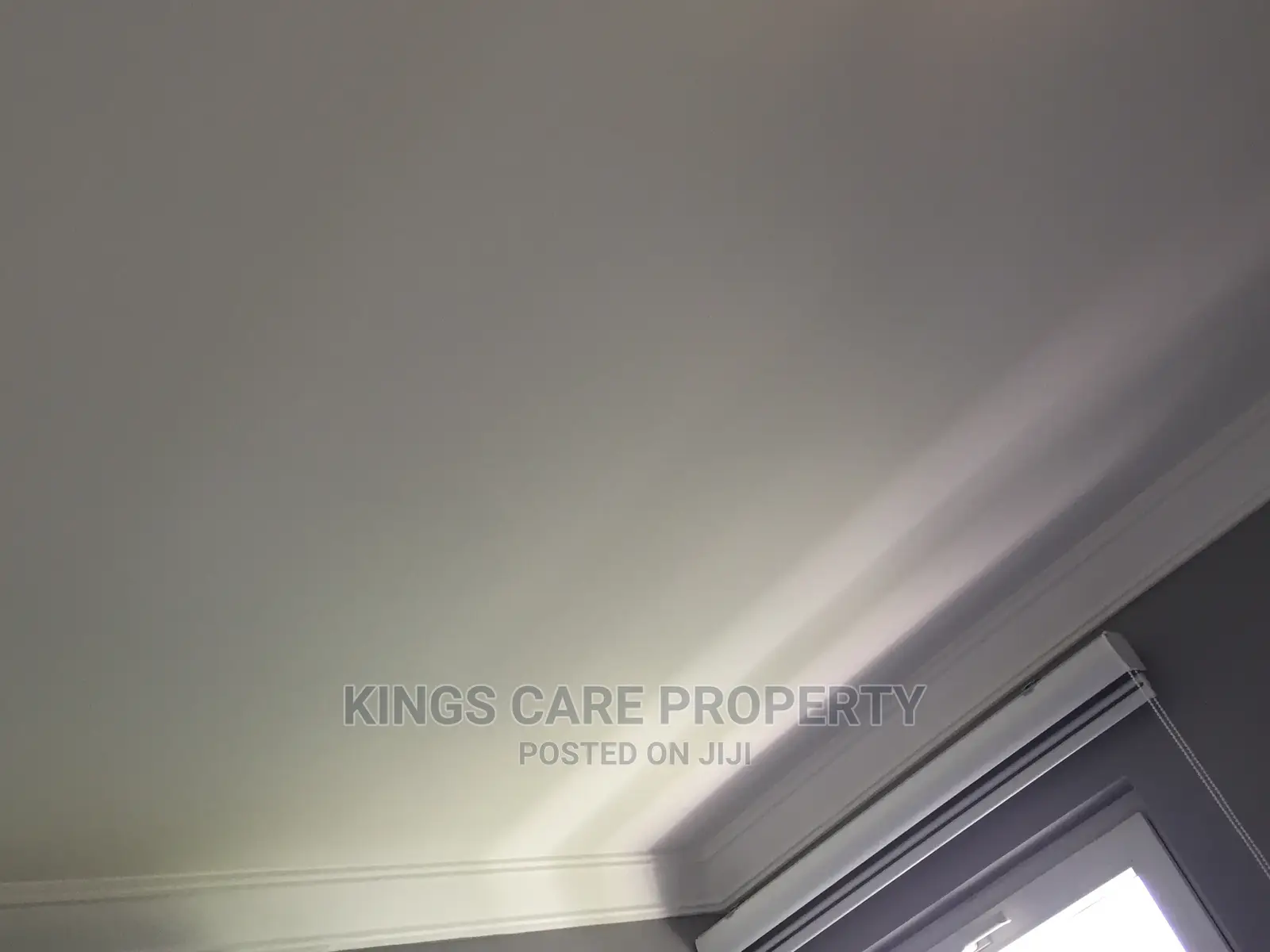 Acoustic Ceiling and Plaster Board