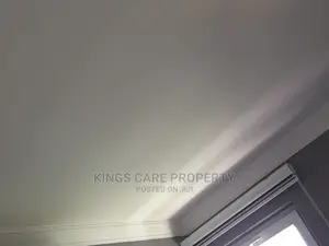 Acoustic Ceiling and Plaster Board