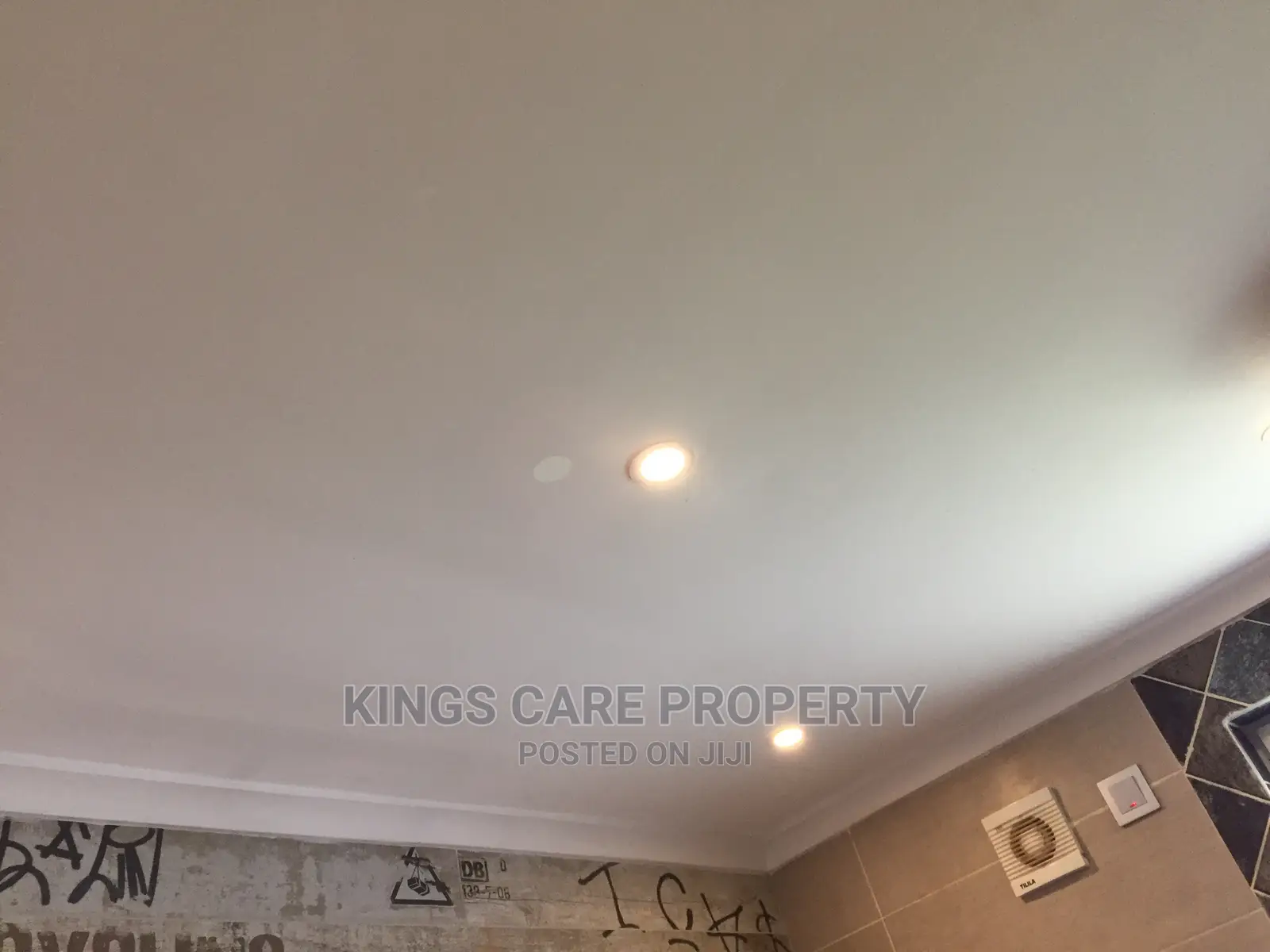 Acoustic Ceiling and Plaster Board