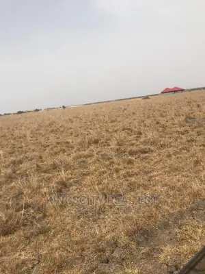 Tsopoli Area Land for Sale