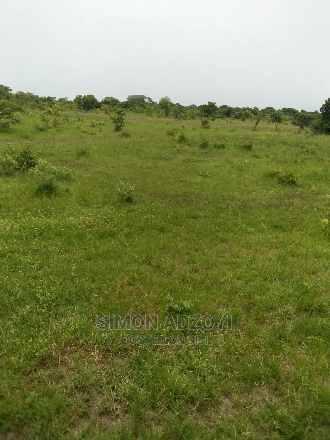 Farm Land for Lease
