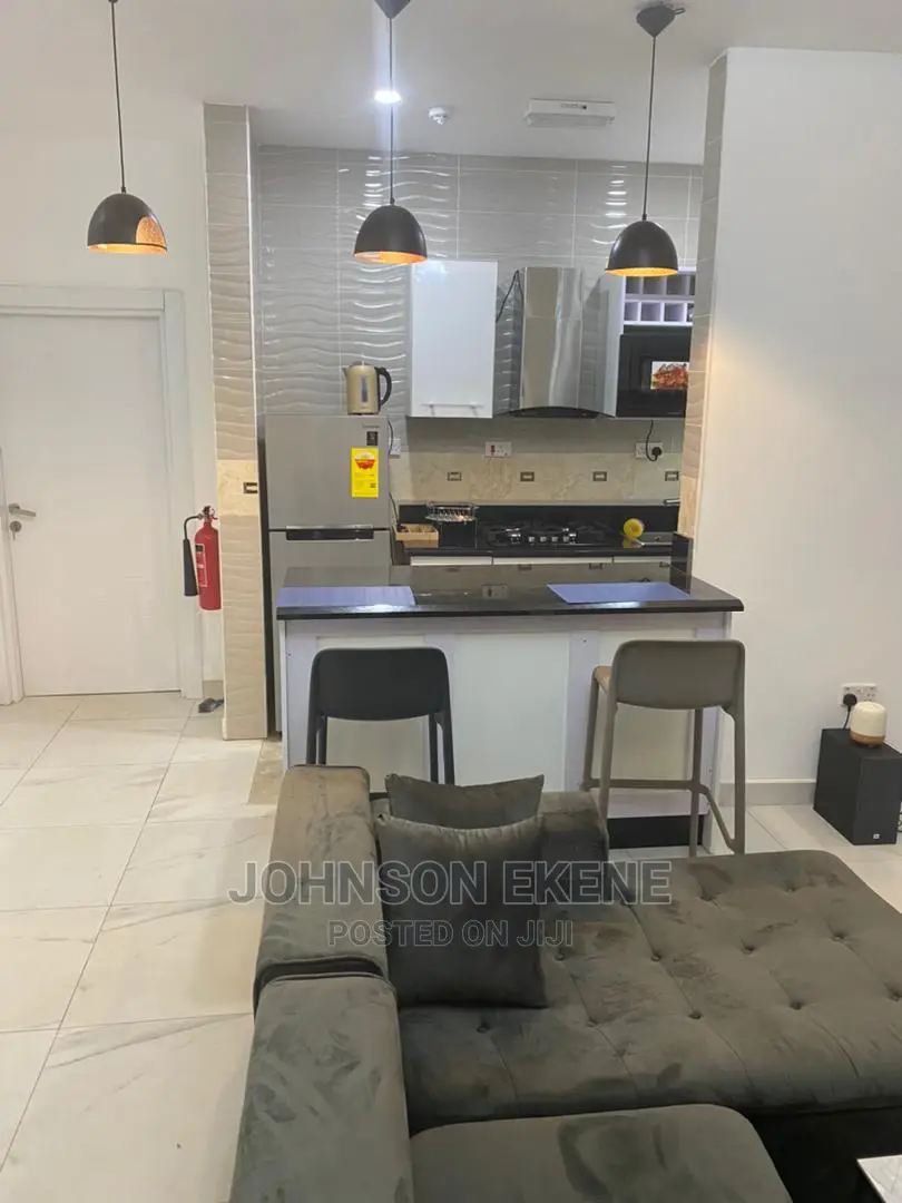 Executive 2 Bedroom Fully Furnished Apartment for Rent