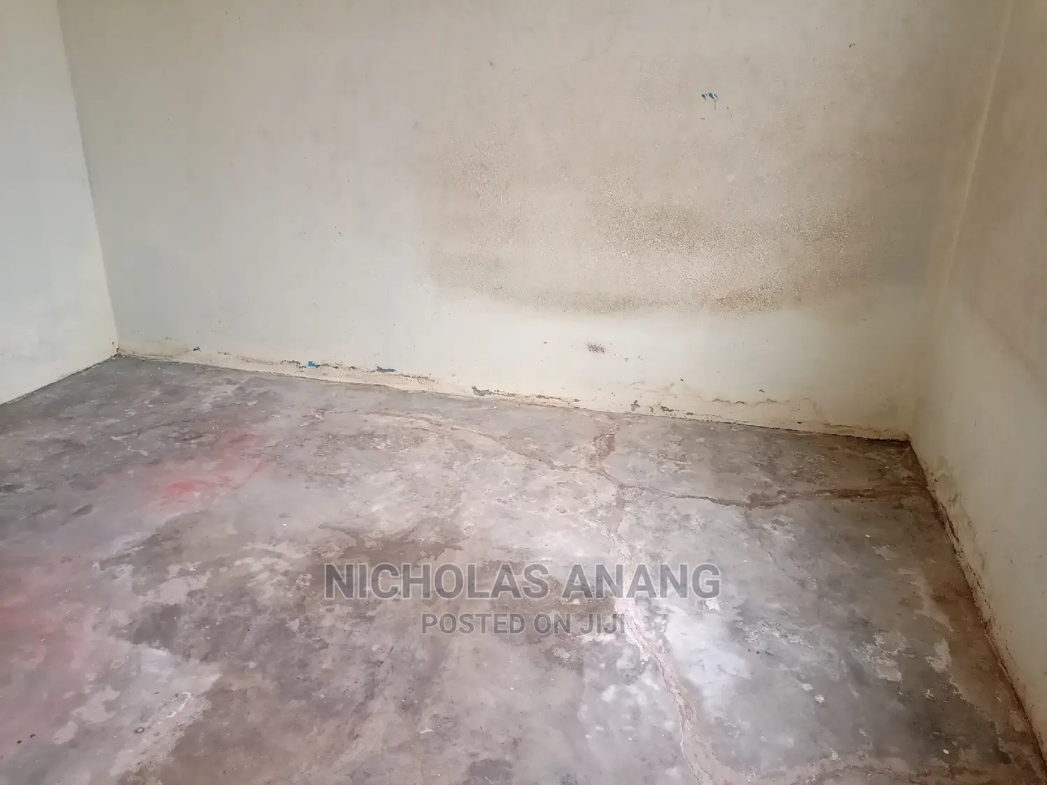 1bdrm House in New Town for rent