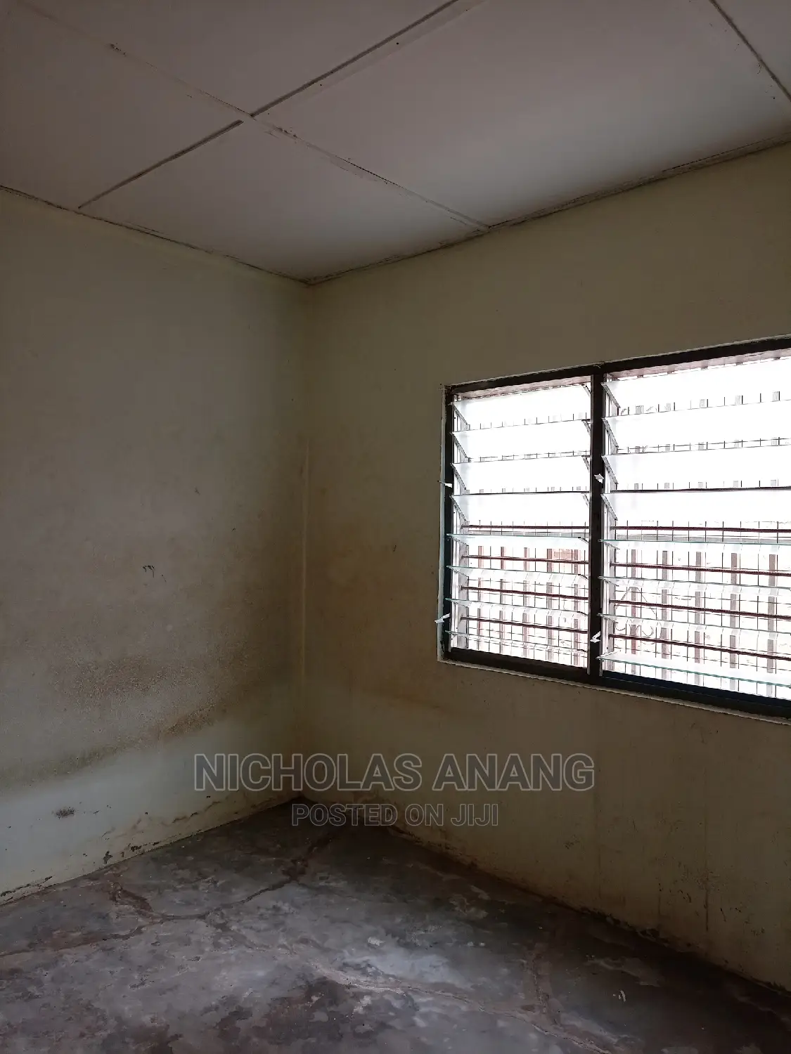 1bdrm House in New Town for rent