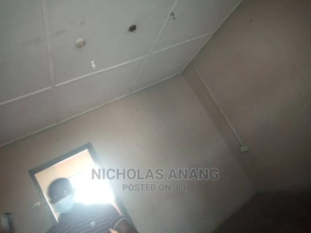 1bdrm House in New Town for rent