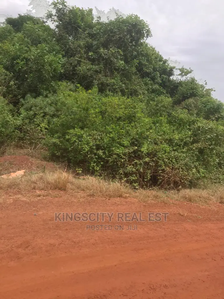 Well Planned Estate Land at Tsopoli for Sal