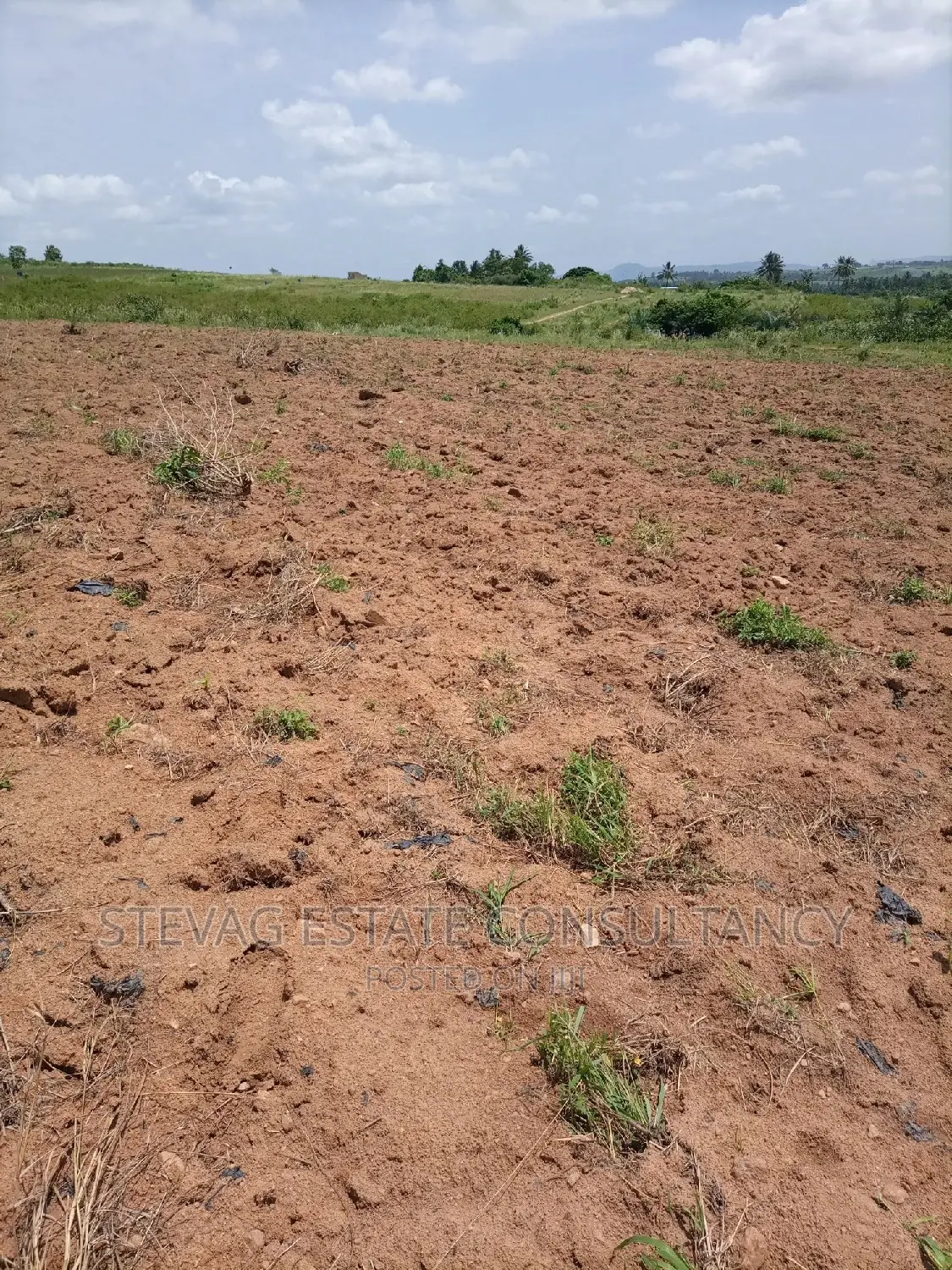Alpha Properties Real Estate Land 4sale at Amasaman Obom Ashifla