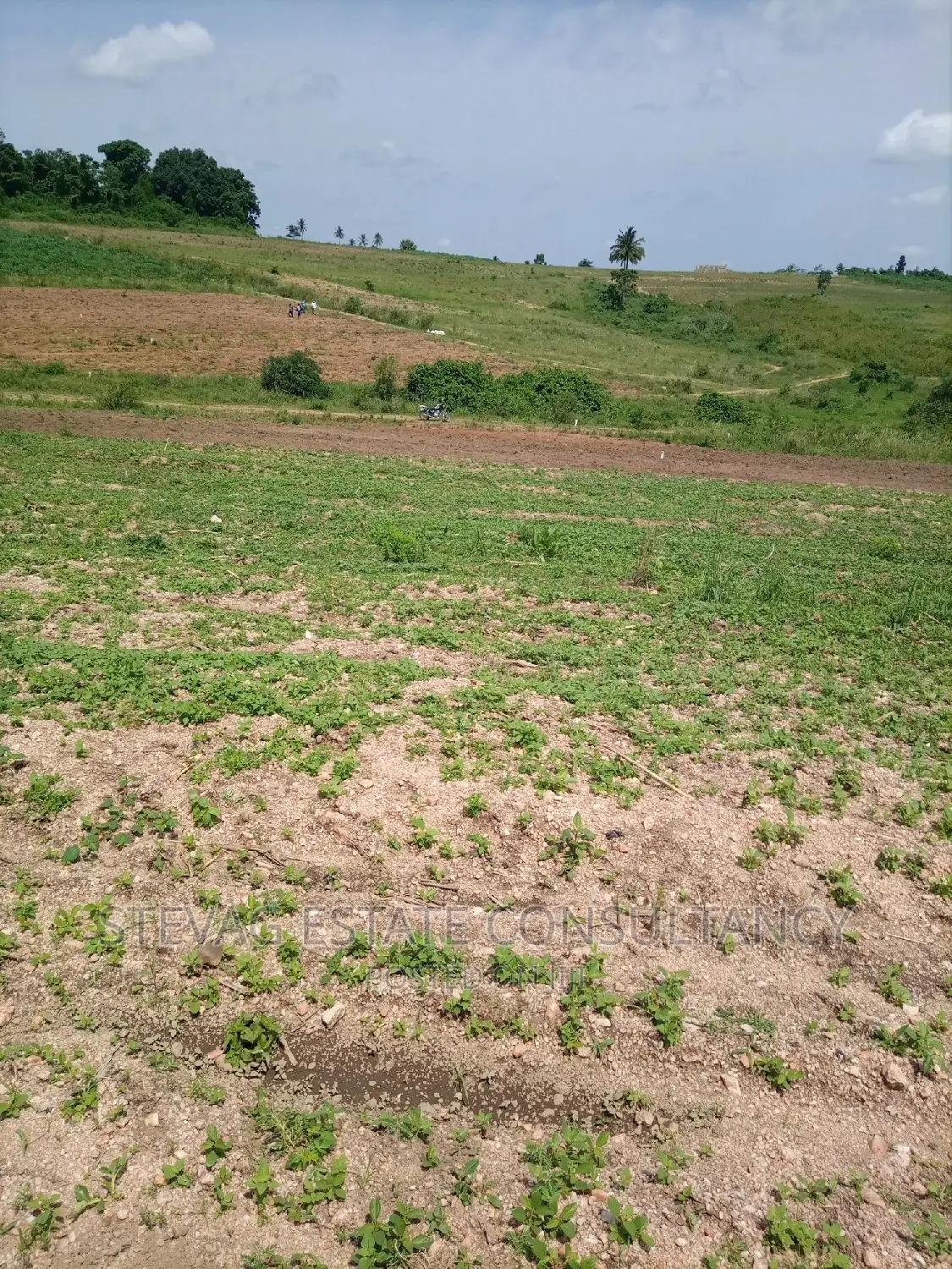 Alpha Properties Real Estate Land 4sale at Amasaman Obom Ashifla