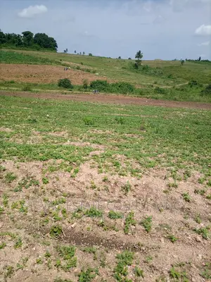 Alpha Properties Real Estate Land 4sale at Amasaman Obom Ashifla