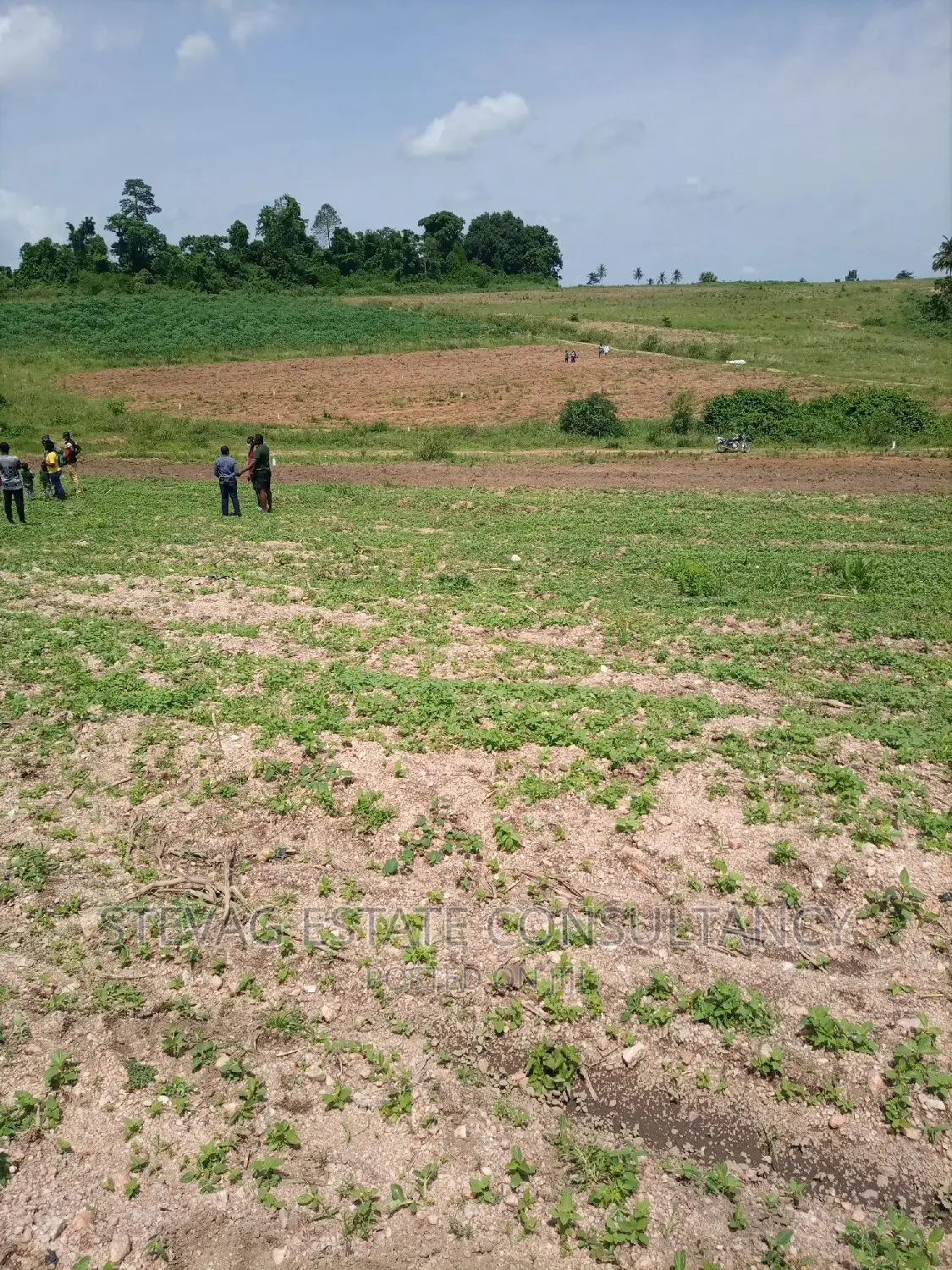 Alpha Properties Real Estate Land 4sale at Amasaman Obom Ashifla