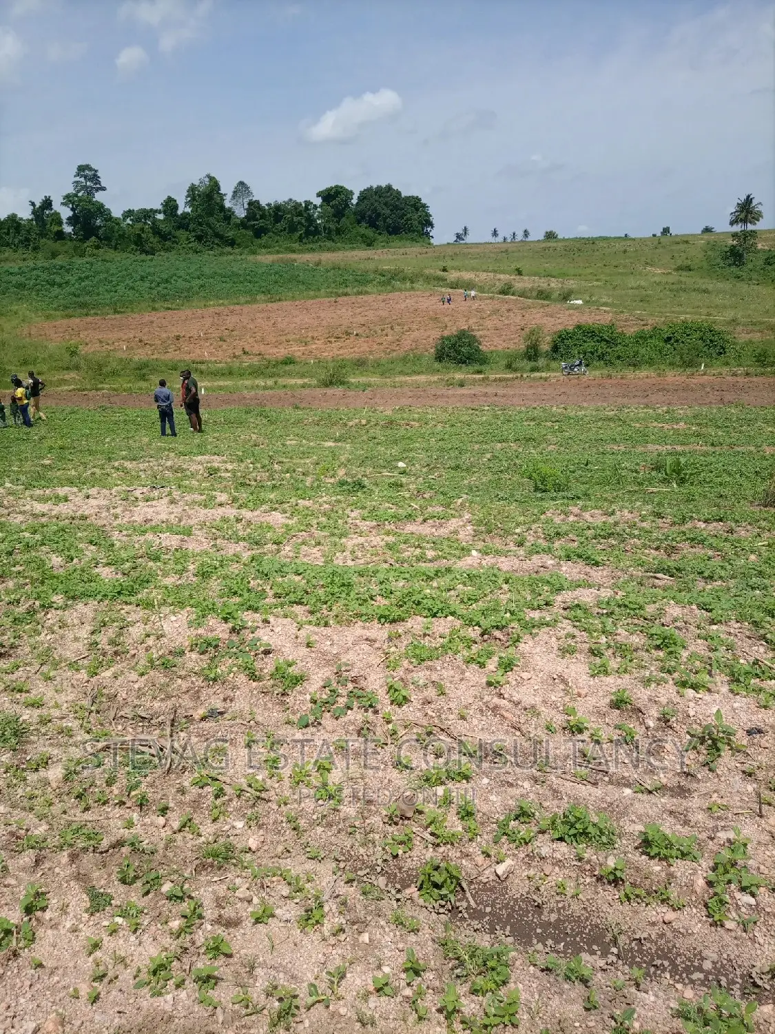 Alpha Properties Real Estate Land 4sale at Amasaman Obom Ashifla
