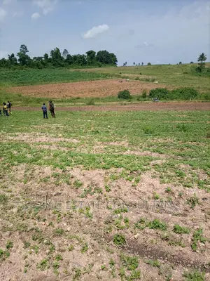 Alpha Properties Real Estate Land 4sale at Amasaman Obom Ashifla