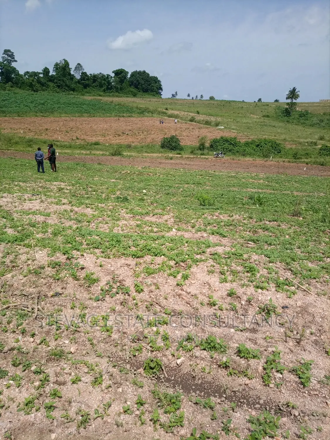 Estate Land for Sale at Kasoa Akraman