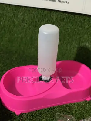 Dual Pet Feeder