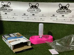 Dual Pet Feeder