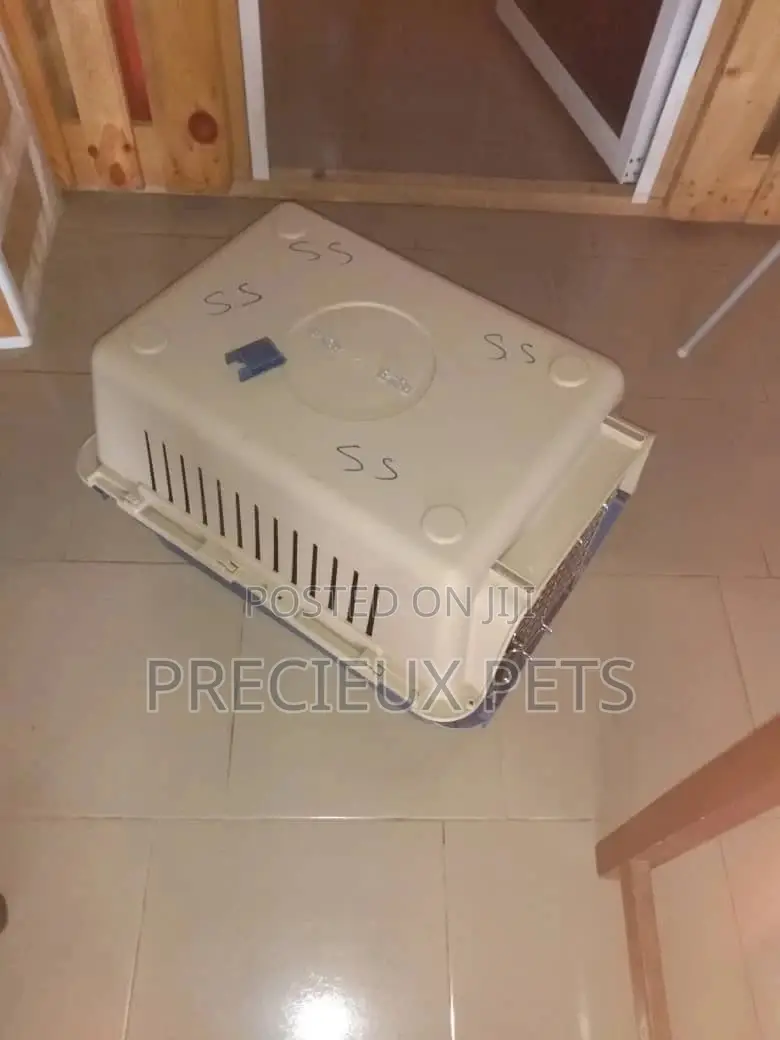 Mobile Plastic Crate/Cage