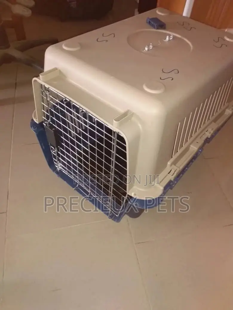 Mobile Plastic Crate/Cage