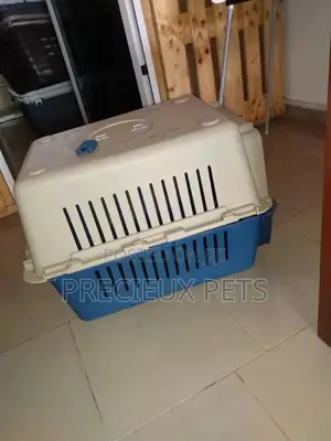 Mobile Plastic Crate/Cage