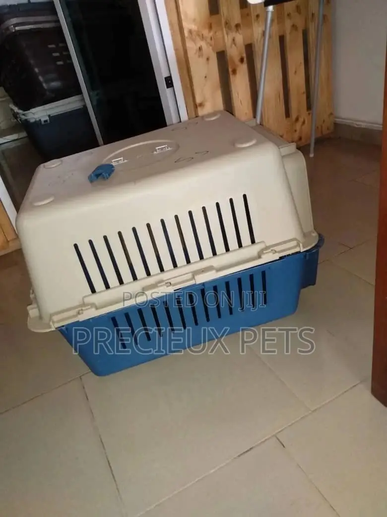Mobile Plastic Crate/Cage