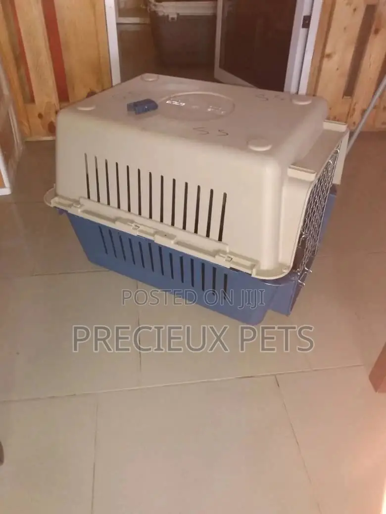 Mobile Plastic Crate/Cage