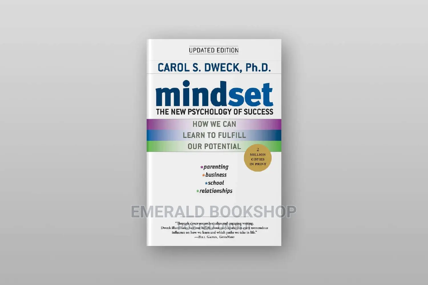 Mindset Book