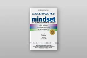 Mindset Book