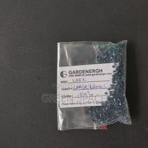 Leek Seeds