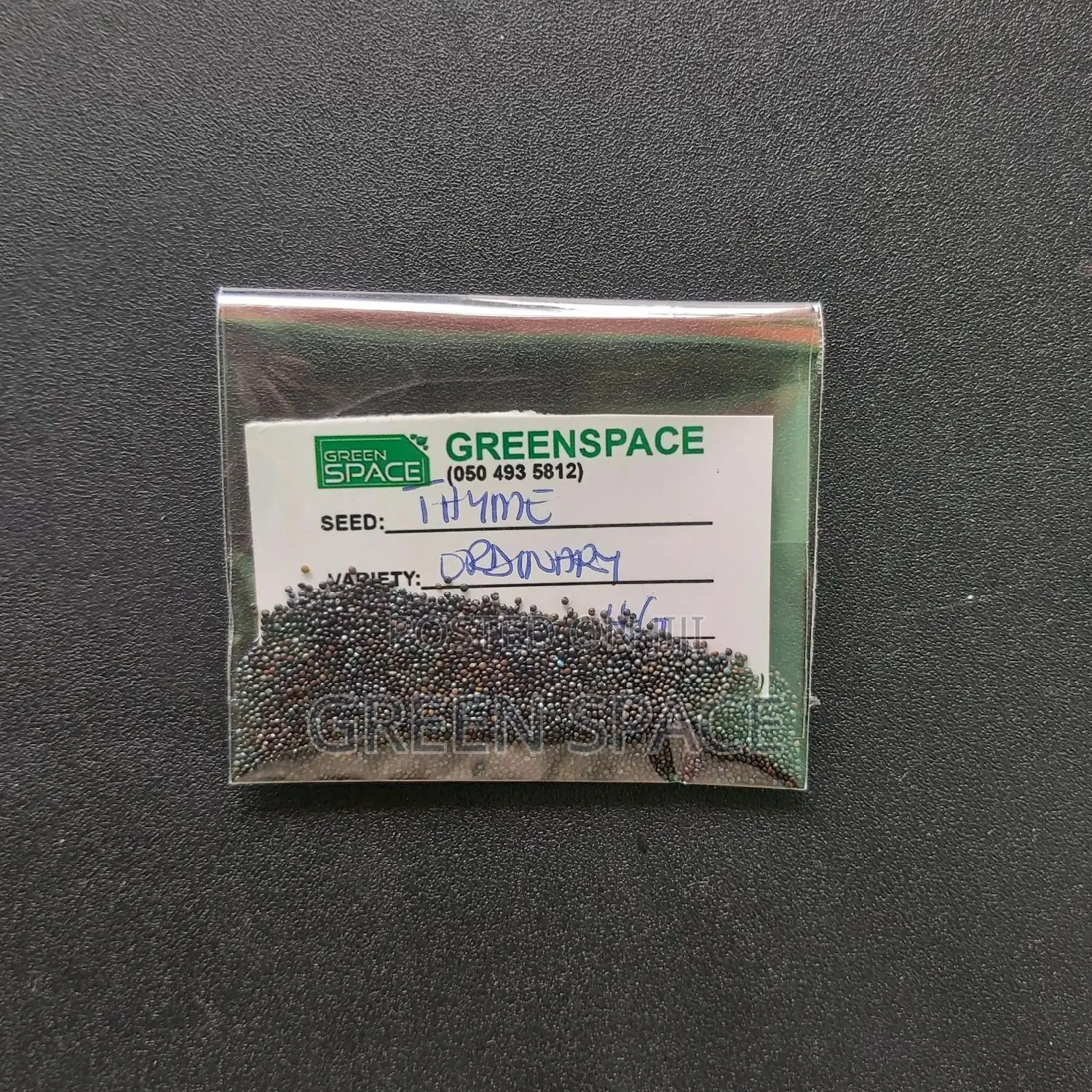 Thyme Seeds