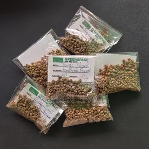 Coriander Seeds