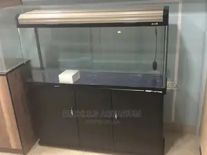 Aquarium Tank