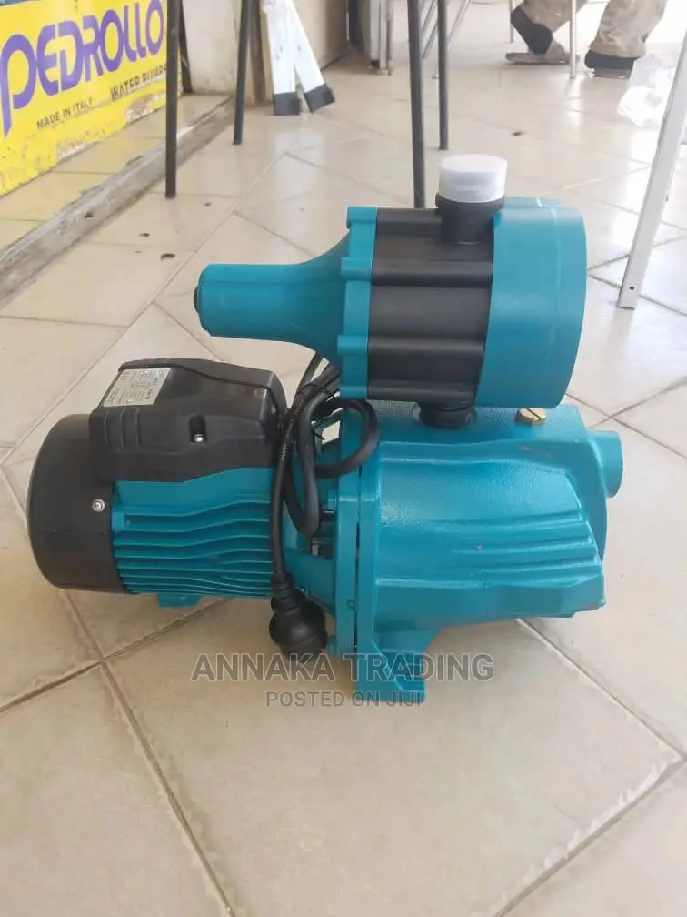 Leo Water Pump