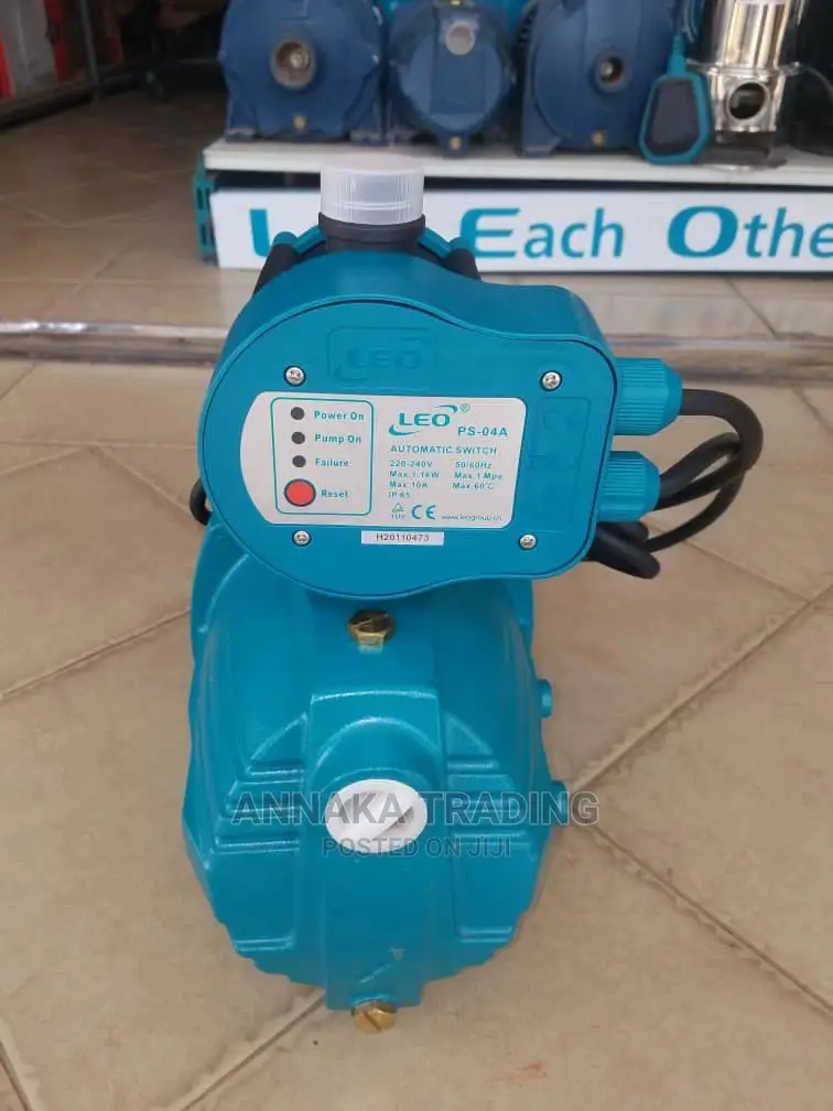 Leo Water Pump