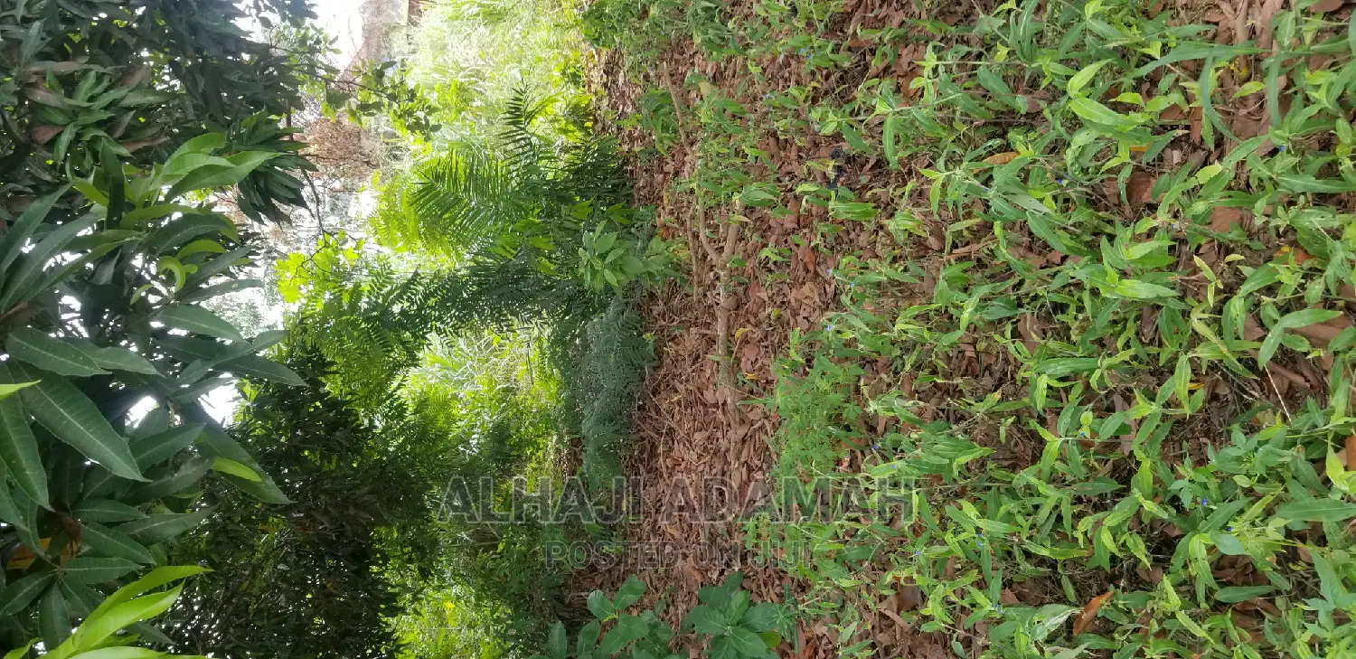 Plot for Sale at Darko New Site in Kumasi