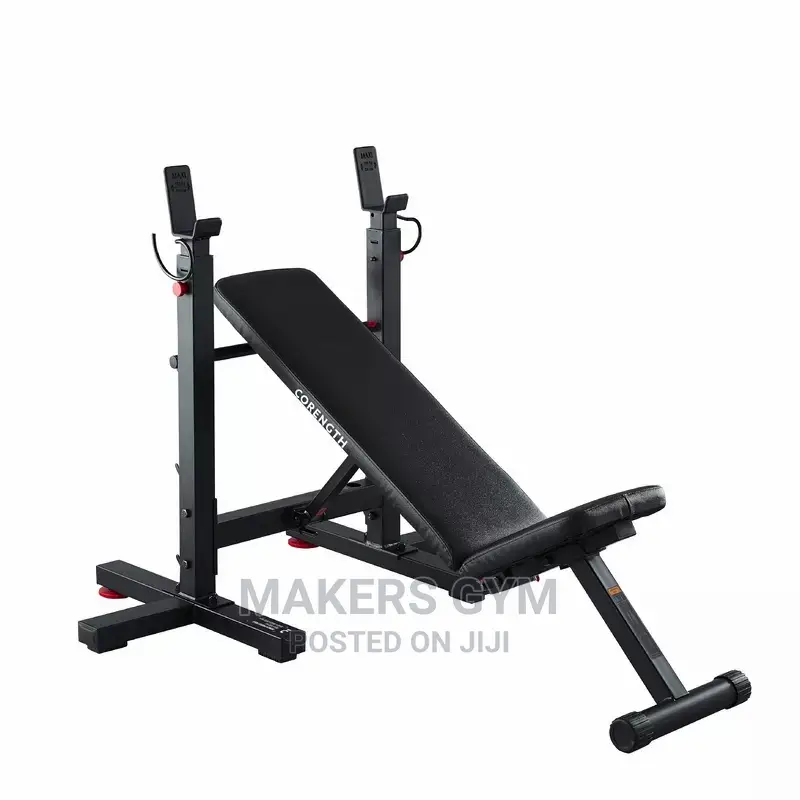 Bench Press (Collapsible )