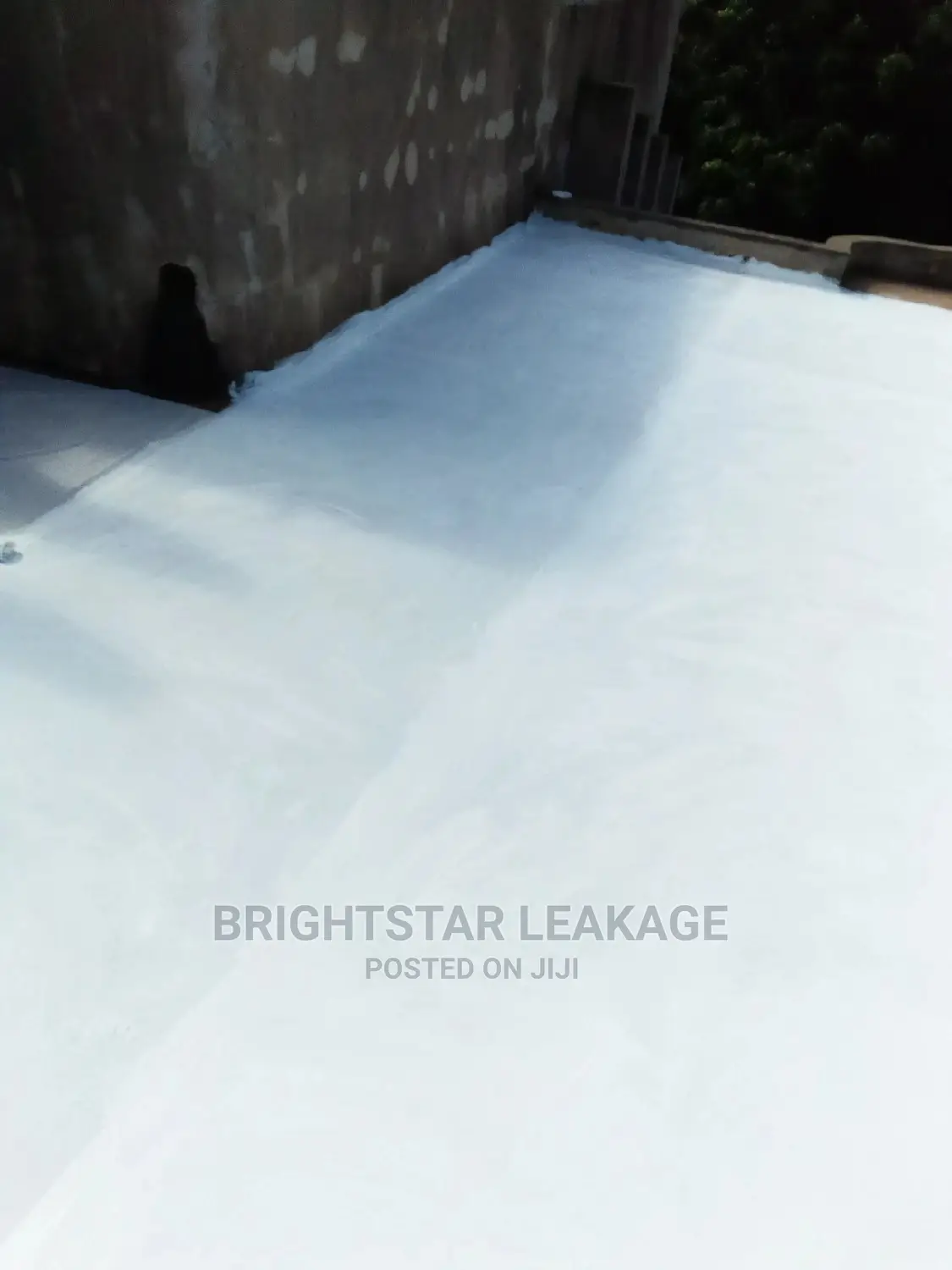 Roof Leakage Repair Specialist