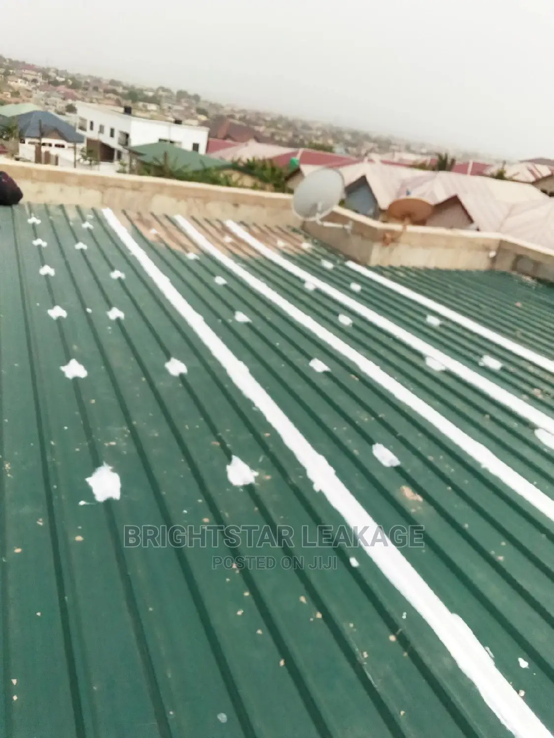 Roof Leakage Repair Specialist