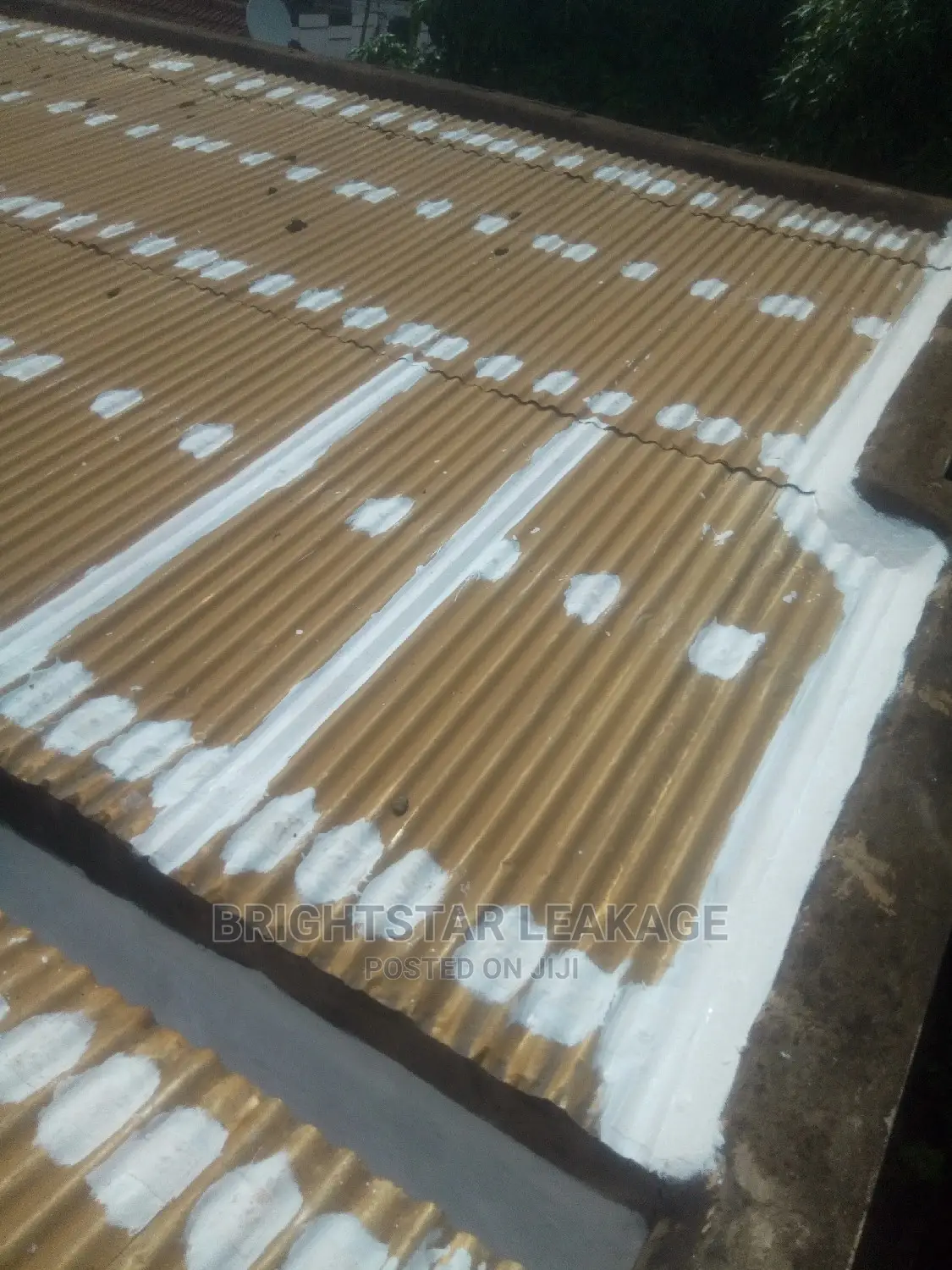 Roof Leakage Repair Specialist