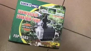 Submersible Pump