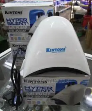 Silent Air Pumps