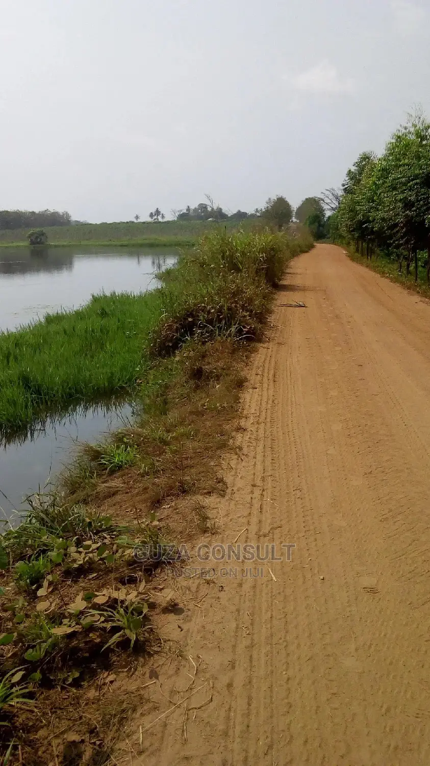 Vast Land For Sale in Kwahu Afram Plains North Land & Plots for Sale