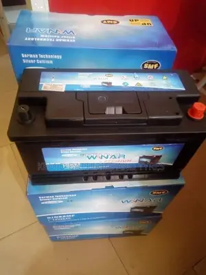 17 Plates Car Battery