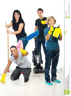 DO You Need Cleaners ?